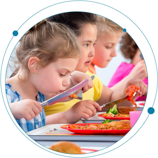 Quantify more than 700 pesticides in 10 different food matrices